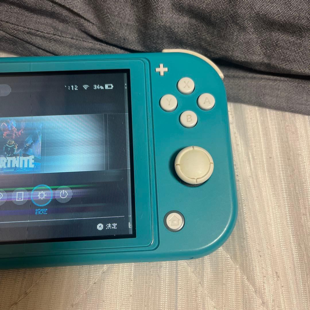 Nintendo Switch Lite ターコイズ 本体　画質わるい