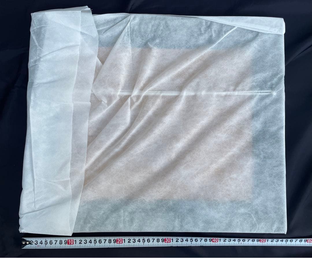 夏目友人帳 大原画展 複製原画 ニャンコ先生 版画