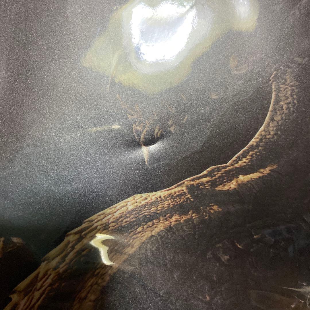 モンハン酒場 ミラボレアス クリアファイル