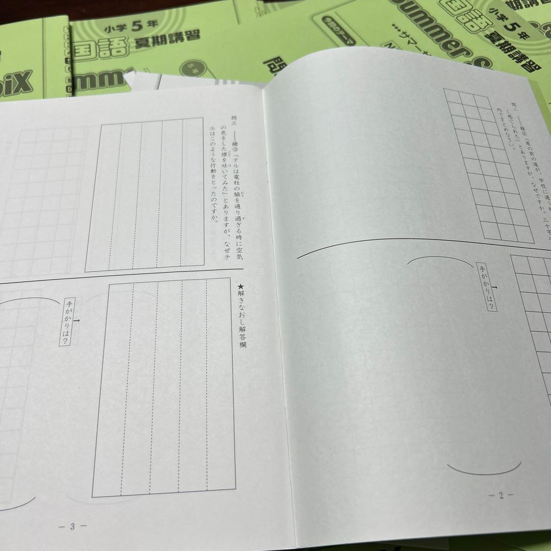 ㉒AC 新品　サピックス　SAPIX 5年　国語　夏期講習　サマーサピックス