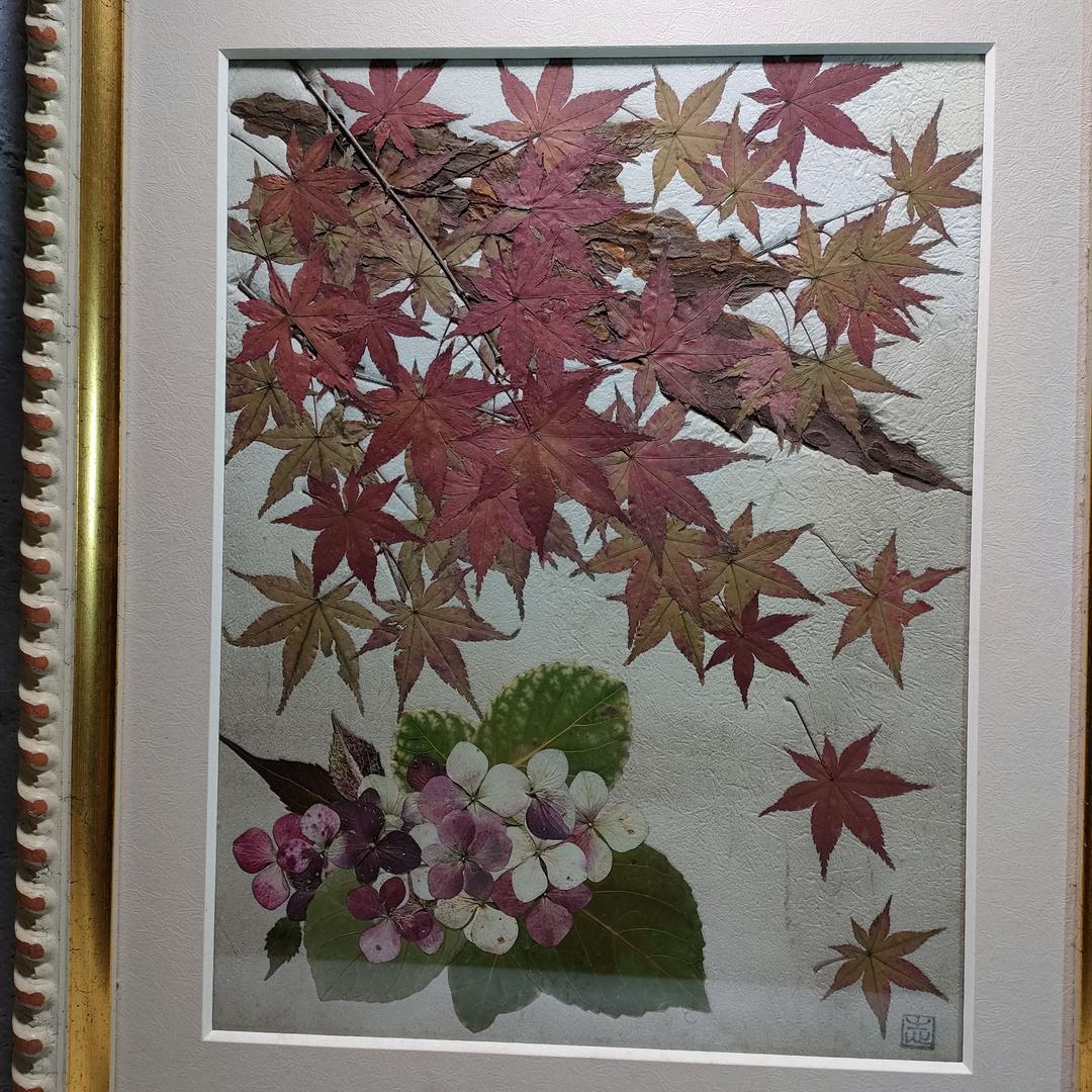 押し花専用額 高級額入り 押し花アート  不思議な花倶楽部  モミジとあじさい