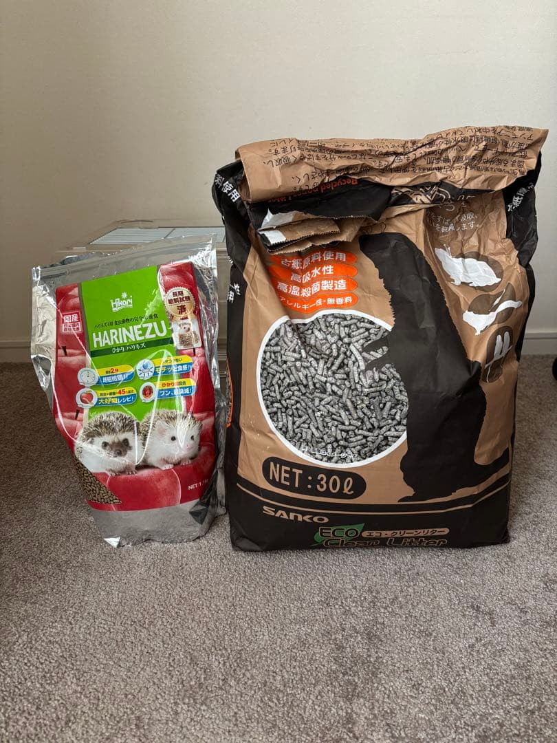 ハリネズミ　飼育セット