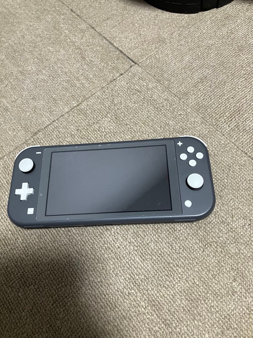 Nintendo Switch Lite グレー 本体 ACアダプター付き