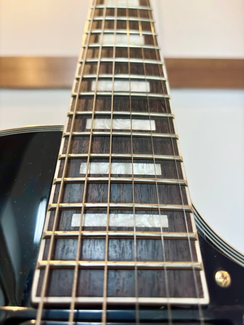 FERNANDES BURNYバーニー レスポールカスタムタイプ RLC-55