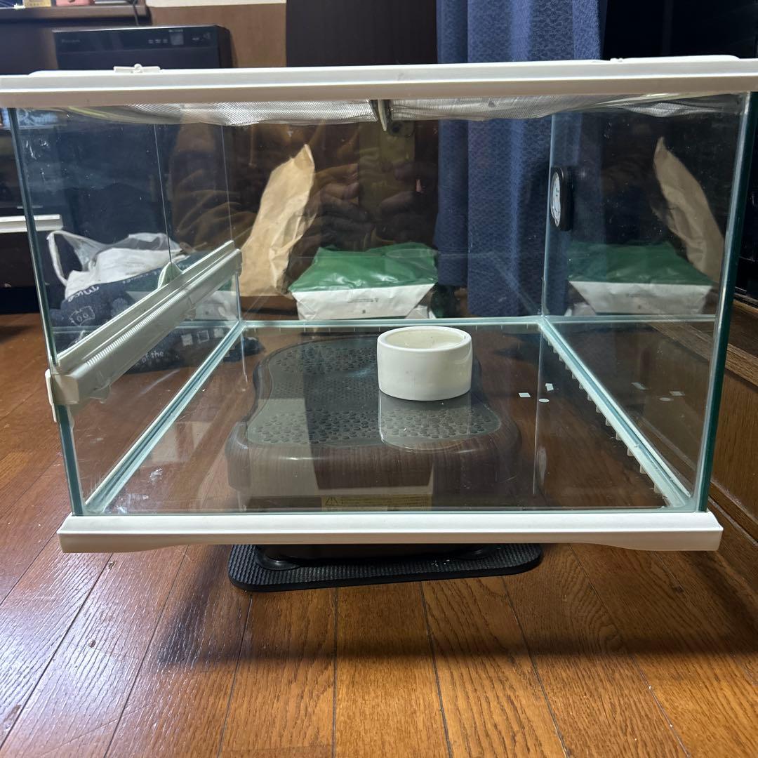 値下【3/18迄送料込セット！】GEX グラステラリウム ホワイト6030他２点