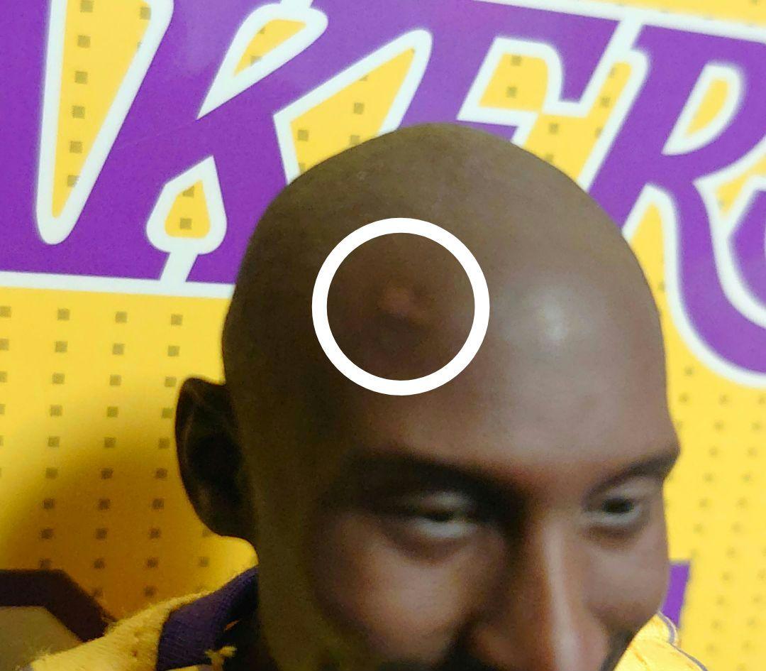 エンターベイ コービー・ブライアント 1/6 フィギュア