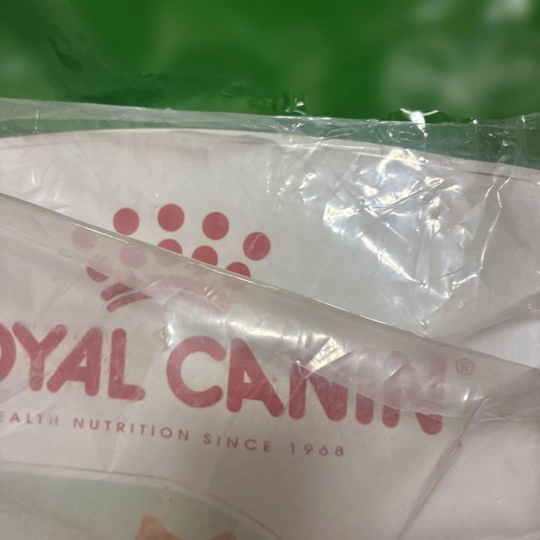 ドッグフード  CANIN mini INDOOR adult 10kg