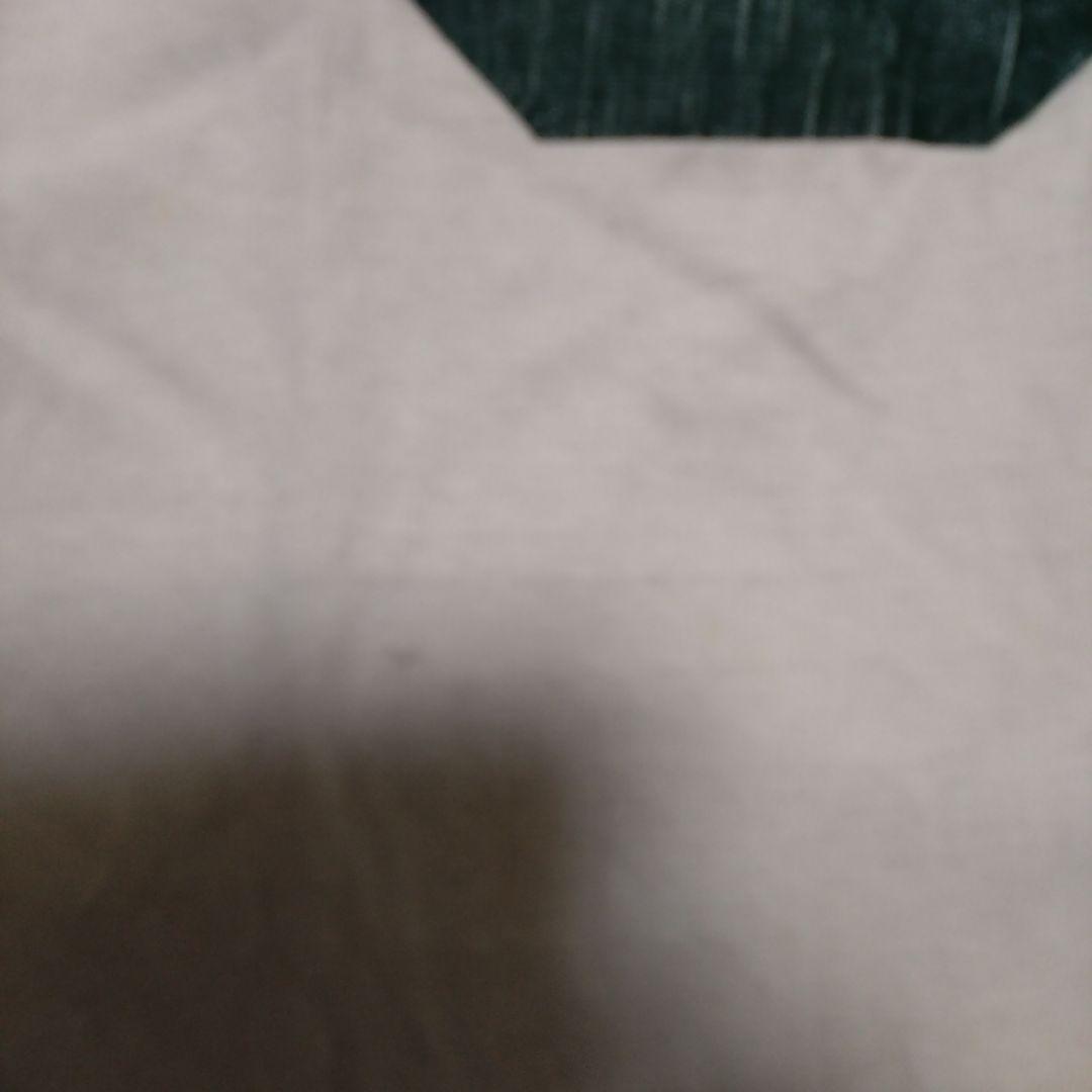 チャンピオン　トリコタグ　ビンテージ　ティシャツ