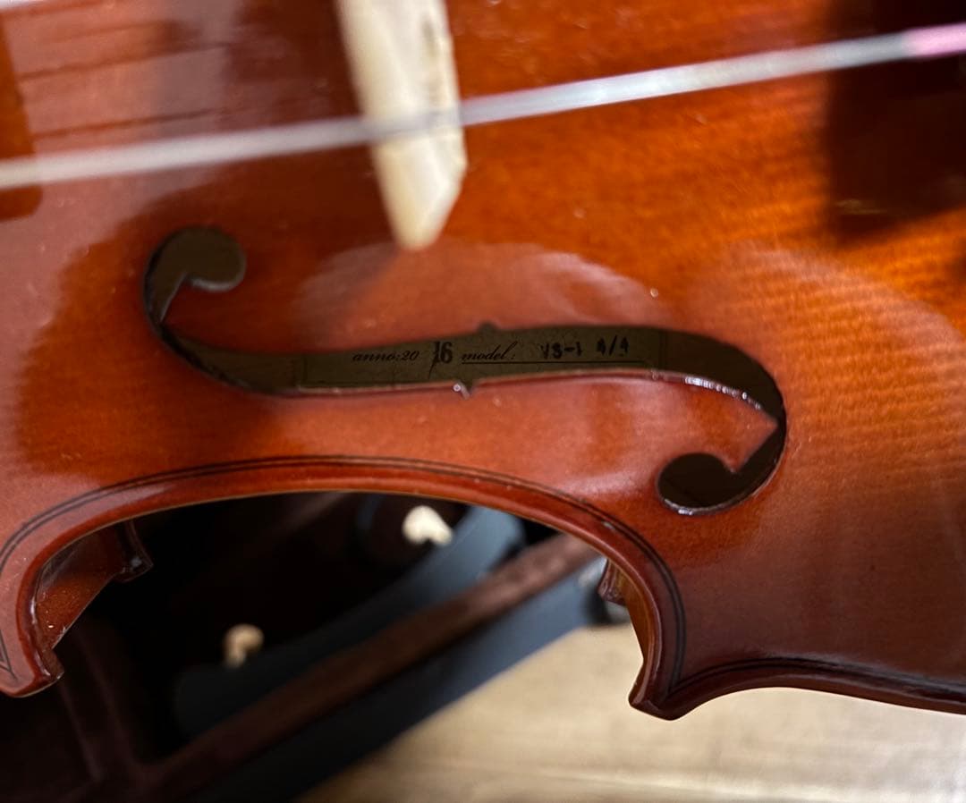 【2016製】CARLO GIORDANO VS-1 4/4 カルロジョルダーノ