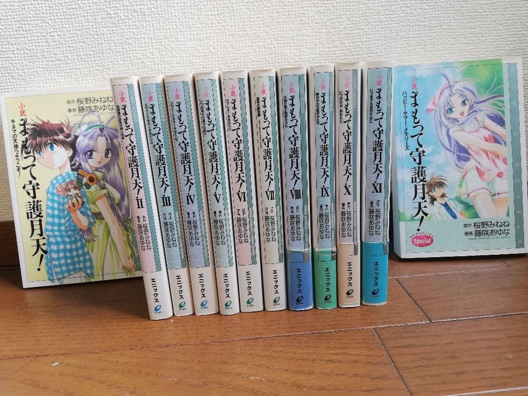 値下げ桜野ねねセット まもって守護月天！ ショーウィンドウのエミリー
