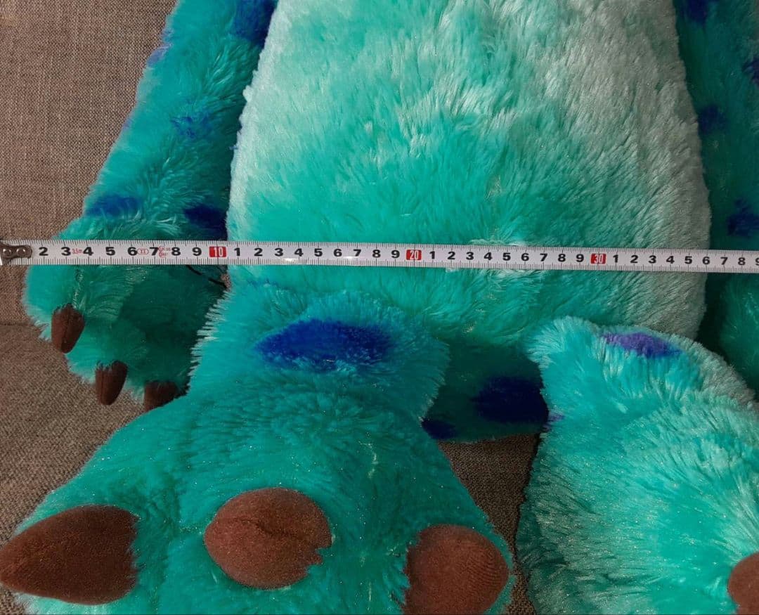 サリー 単独 大きいサイズ