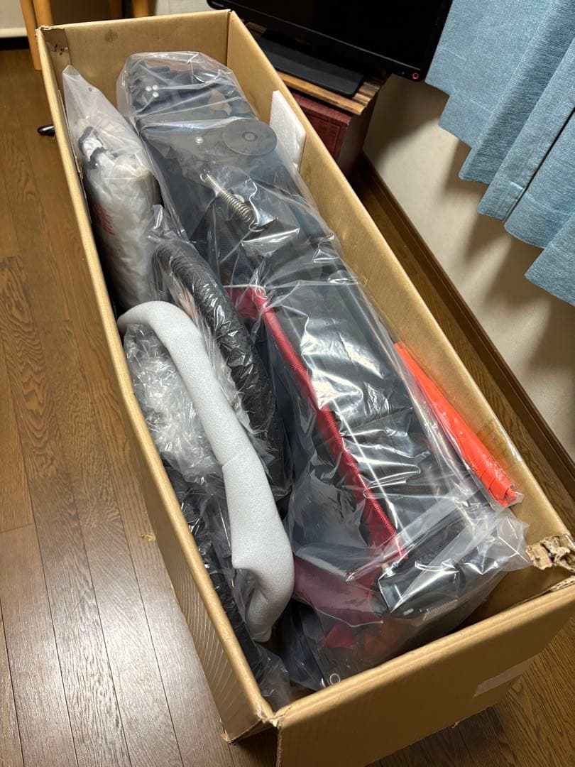 エアバギー　ネストバイク　タンゴレッド　赤