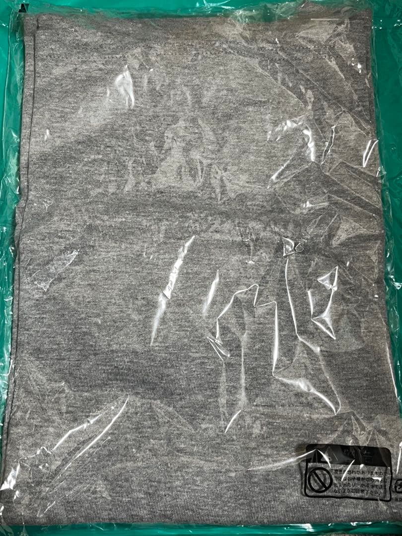 Aimer LIVE TOUR タオル Tシャツ