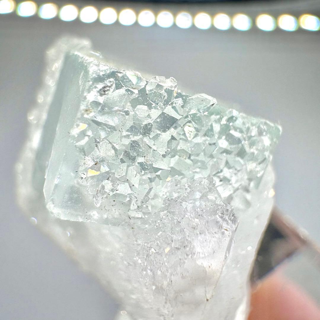 604 中国 浙江省産 フローライト