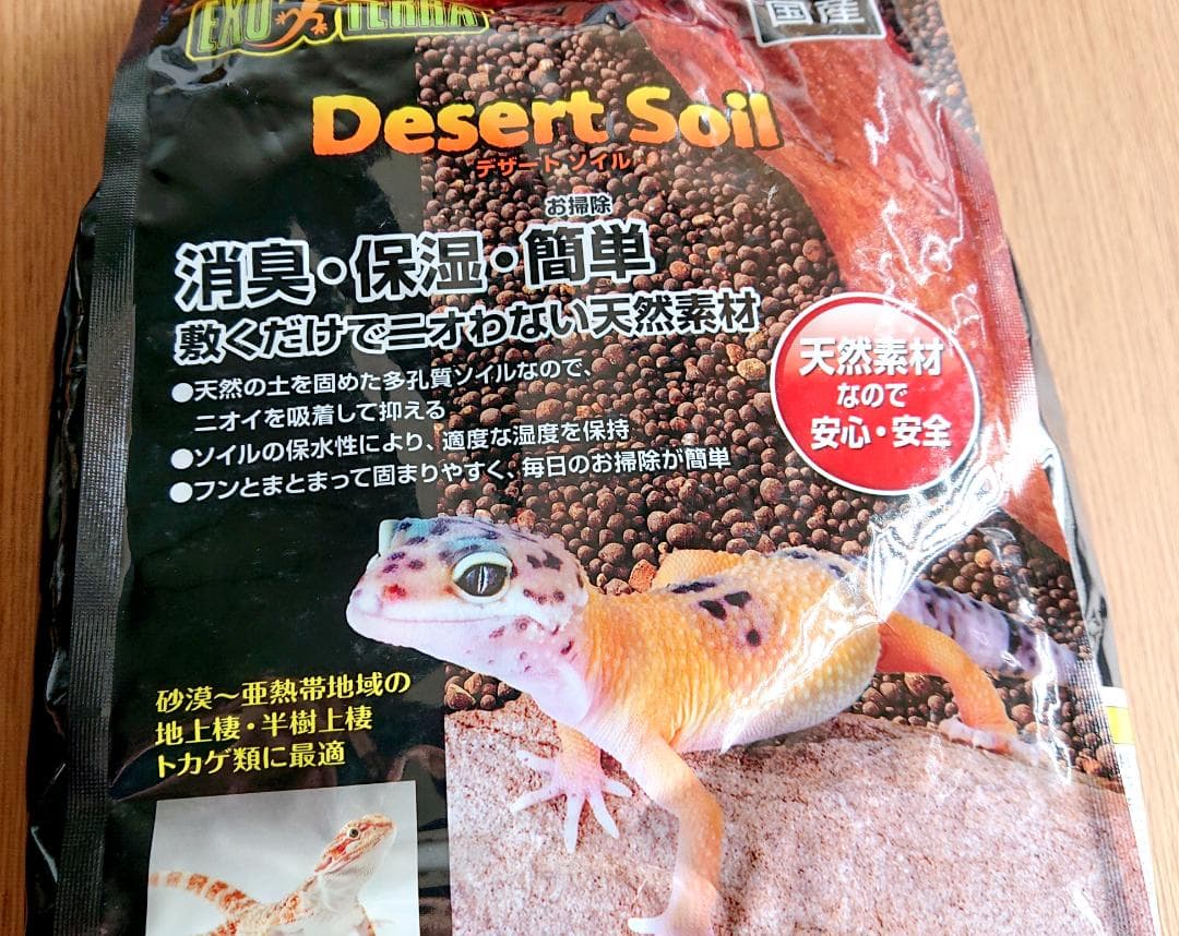 カナヘビ・爬虫類飼育11点セット