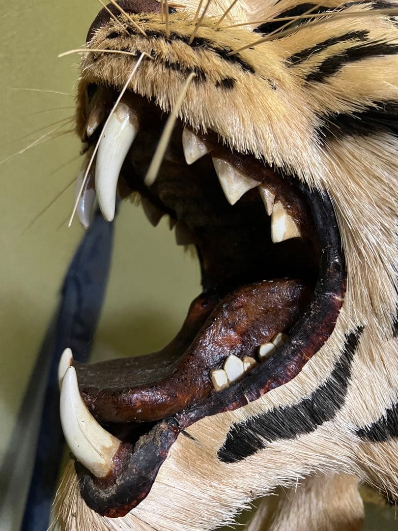 手作りの虎　飾り物