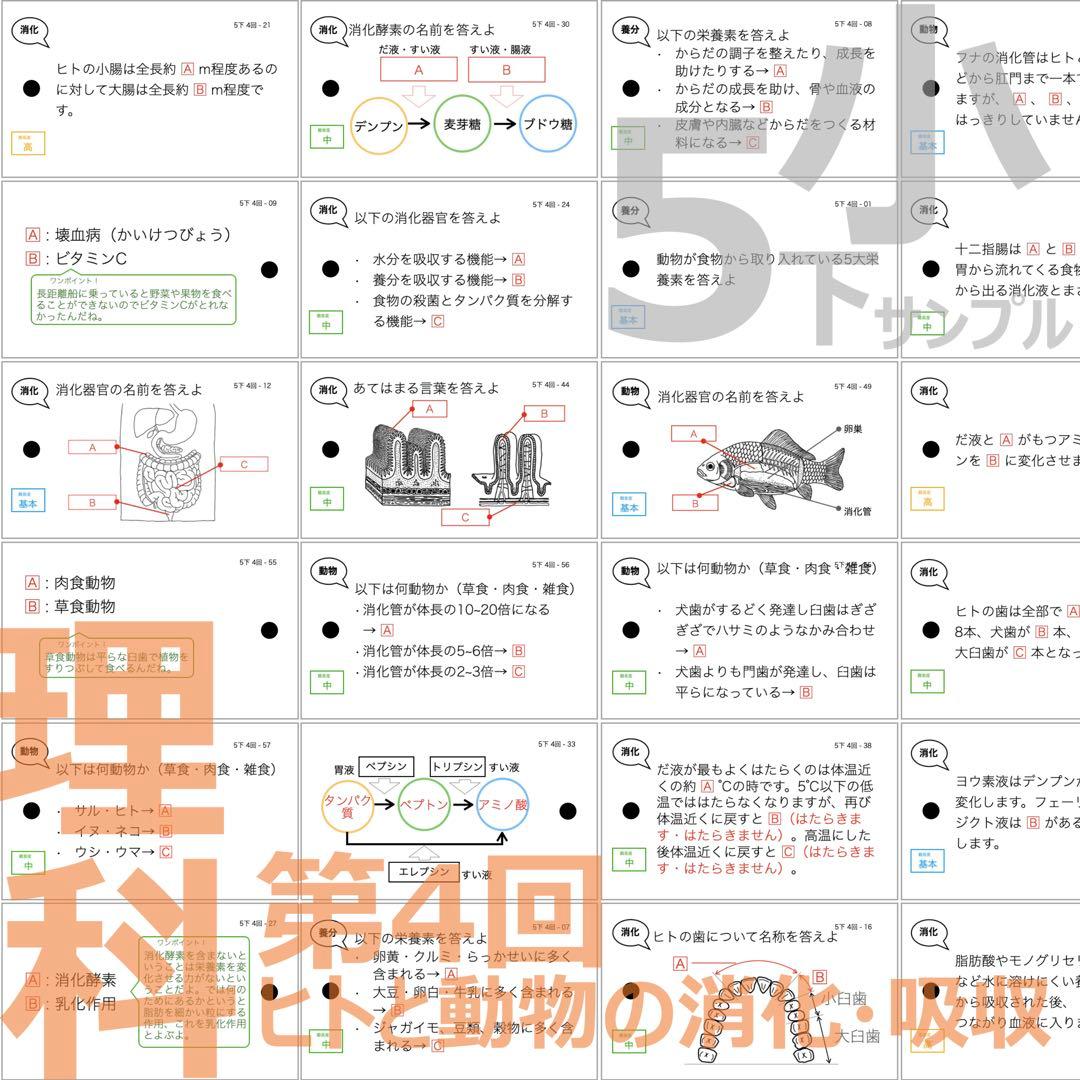 中学受験 暗記カード【5年下 理科全セット 1-18回】予シリ 組分けテスト