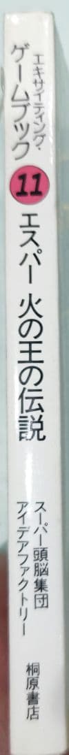 激レア！初版 エキサイティングゲームブック エスパー 火の王の伝説 桐原書店