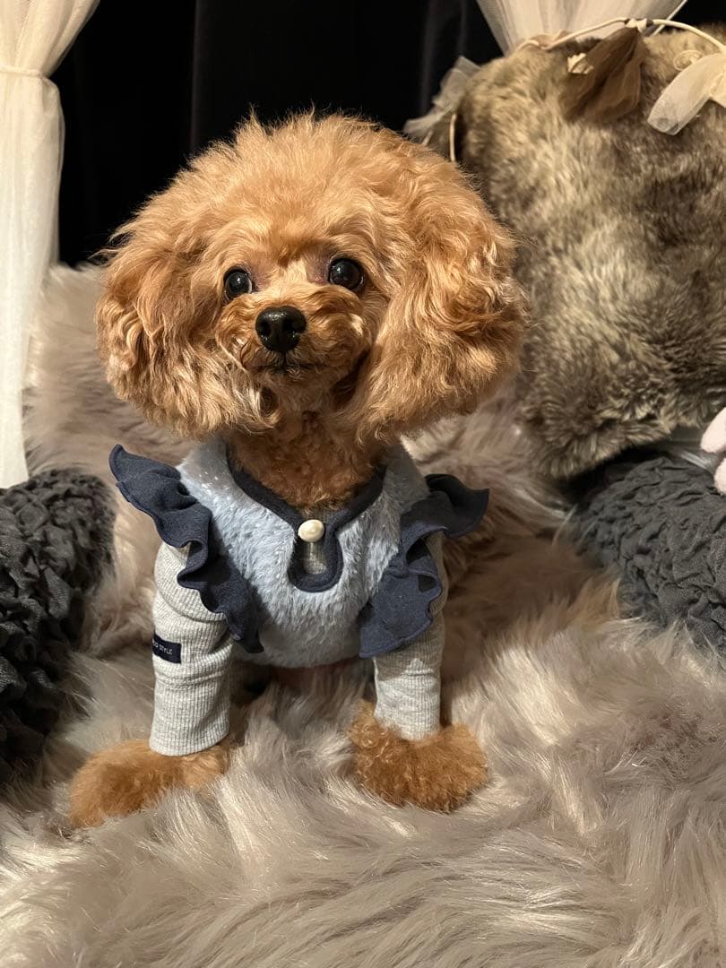 ⑅⃝︎k.t.r-725様おまとめ用です⑅⃝︎