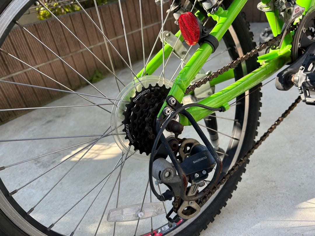 LOUIS GARNEAU ジュニアマウンテンバイク グリーン　J22(手渡し)