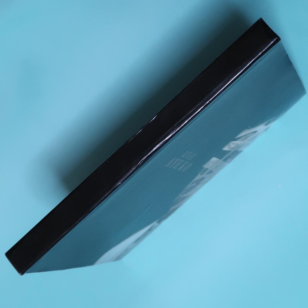 特別セール！洋書『artist AYE KO』エー・コー、ミャンマー、現代アート