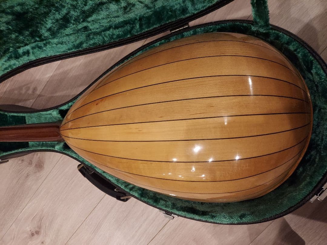 SUZUKI マンドラ MD-4 ハードケース付き