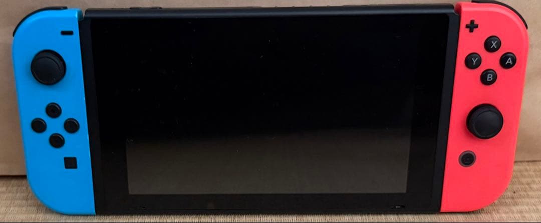 Nintendo Switch 本体 おまけでケースやスカイリムソフト等付