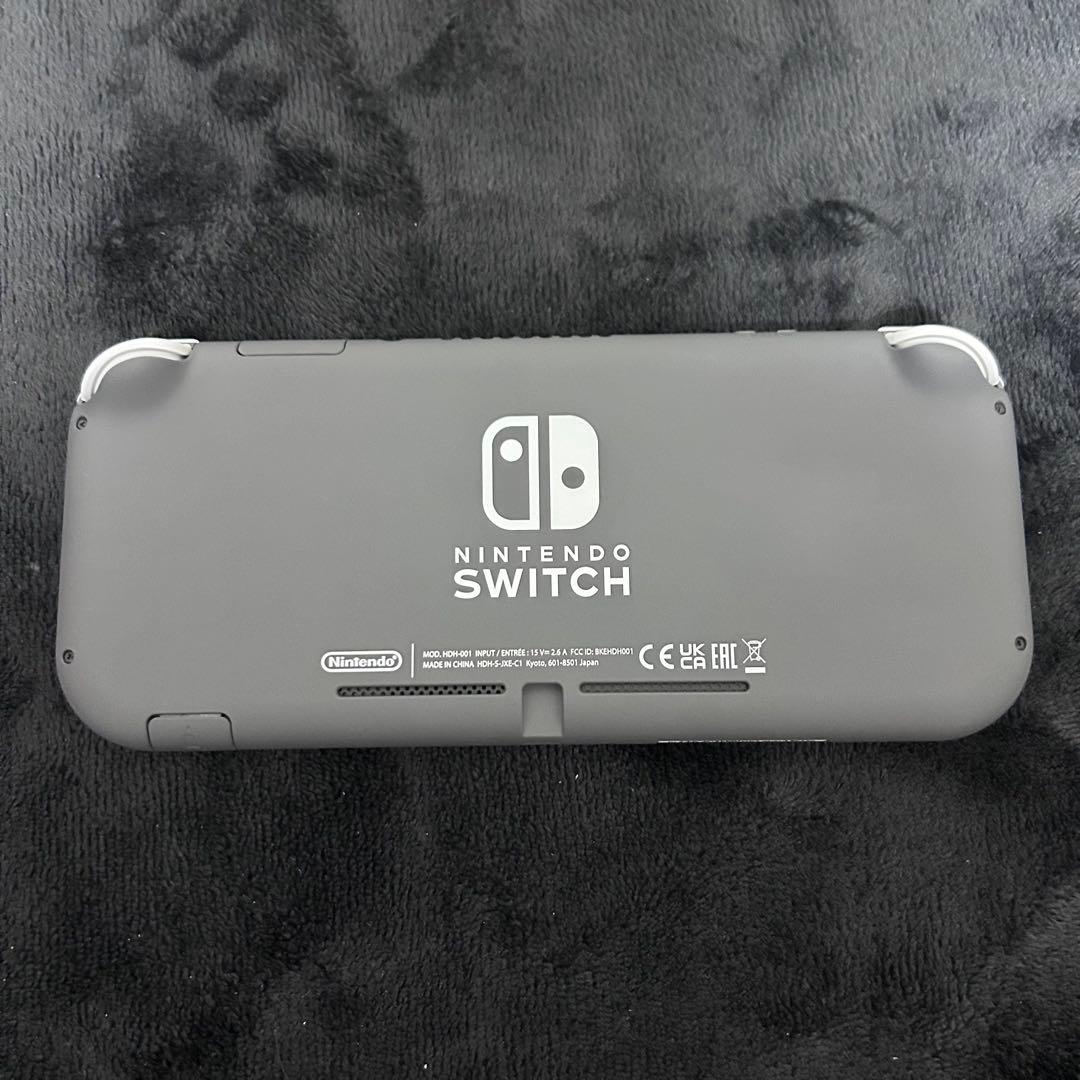 Nintendo Switch Lite グレー　ソフト付き