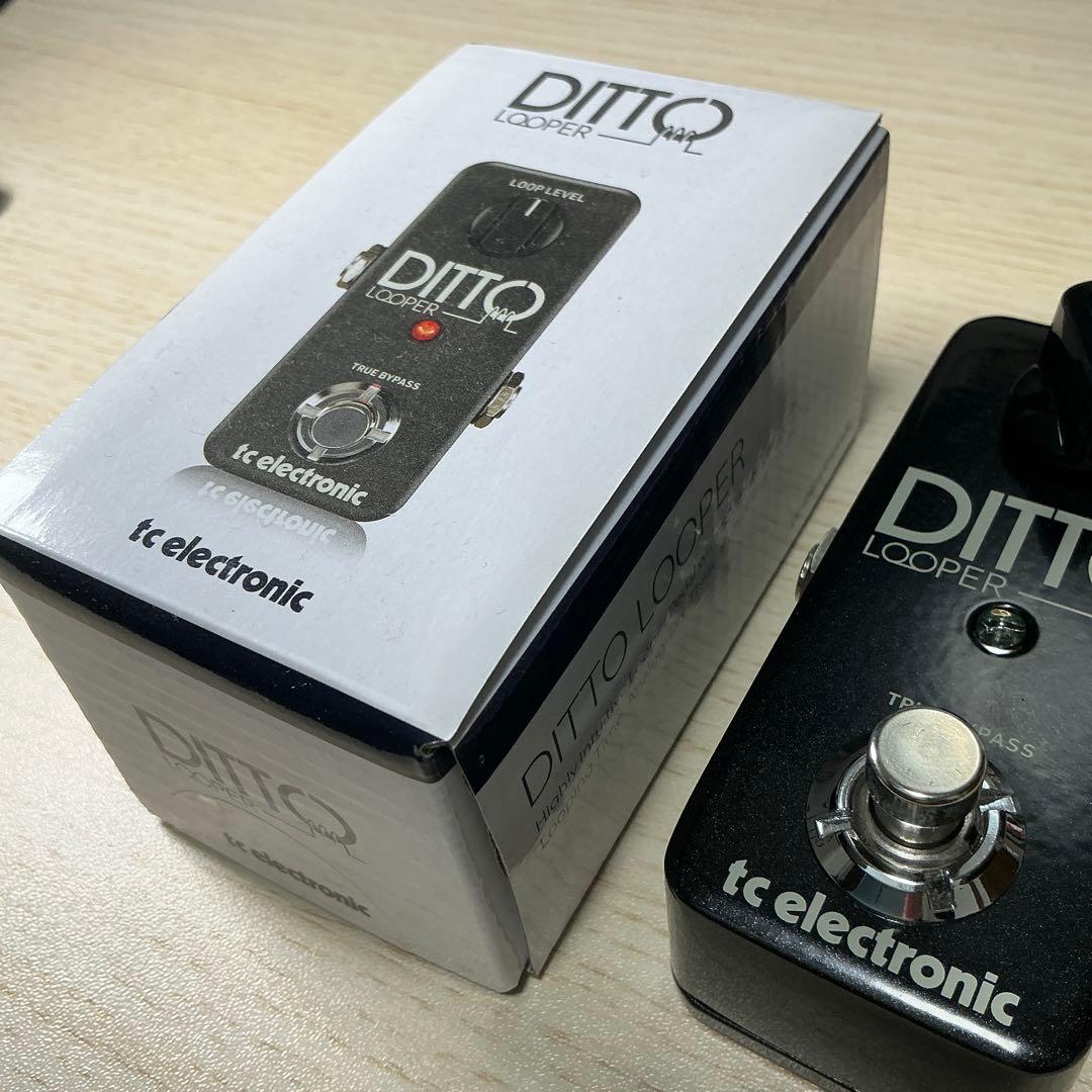 TC ELECTRONIC / Ditto Looper ルーパー