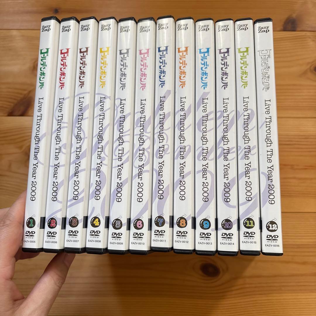 ゴールデンボンバー　12ヶ月連続ワンマン　DVD12巻セット