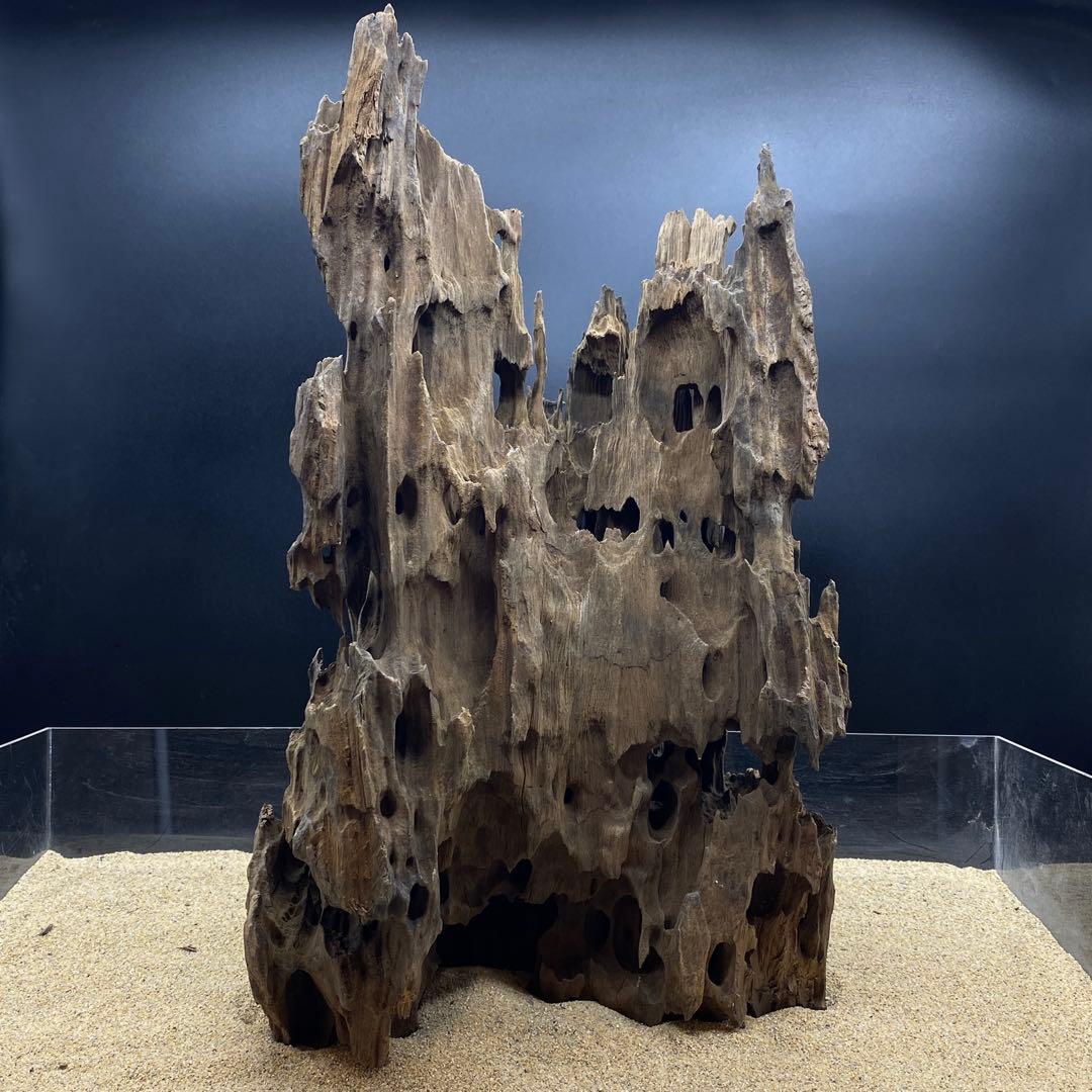 MMW-6273 特大マシンガンウッド　自立一点物　流木　アクアリウム