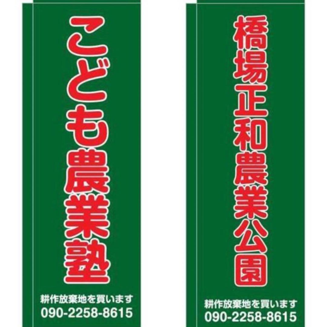 バレリーナコレクション【横尾正夫　出番です】購入金額より60％お値引き！！