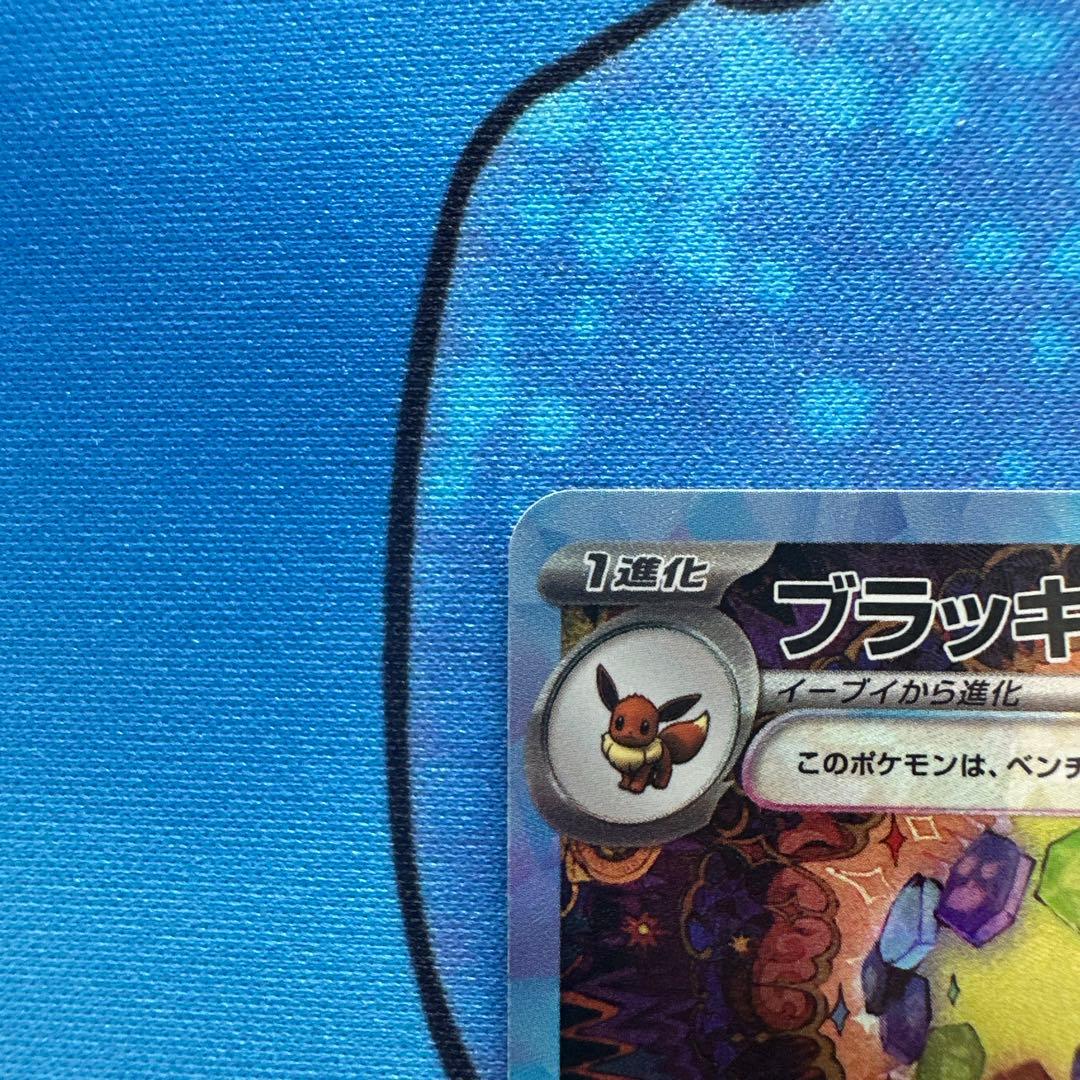 【専用出品】ブラッキーex SAR