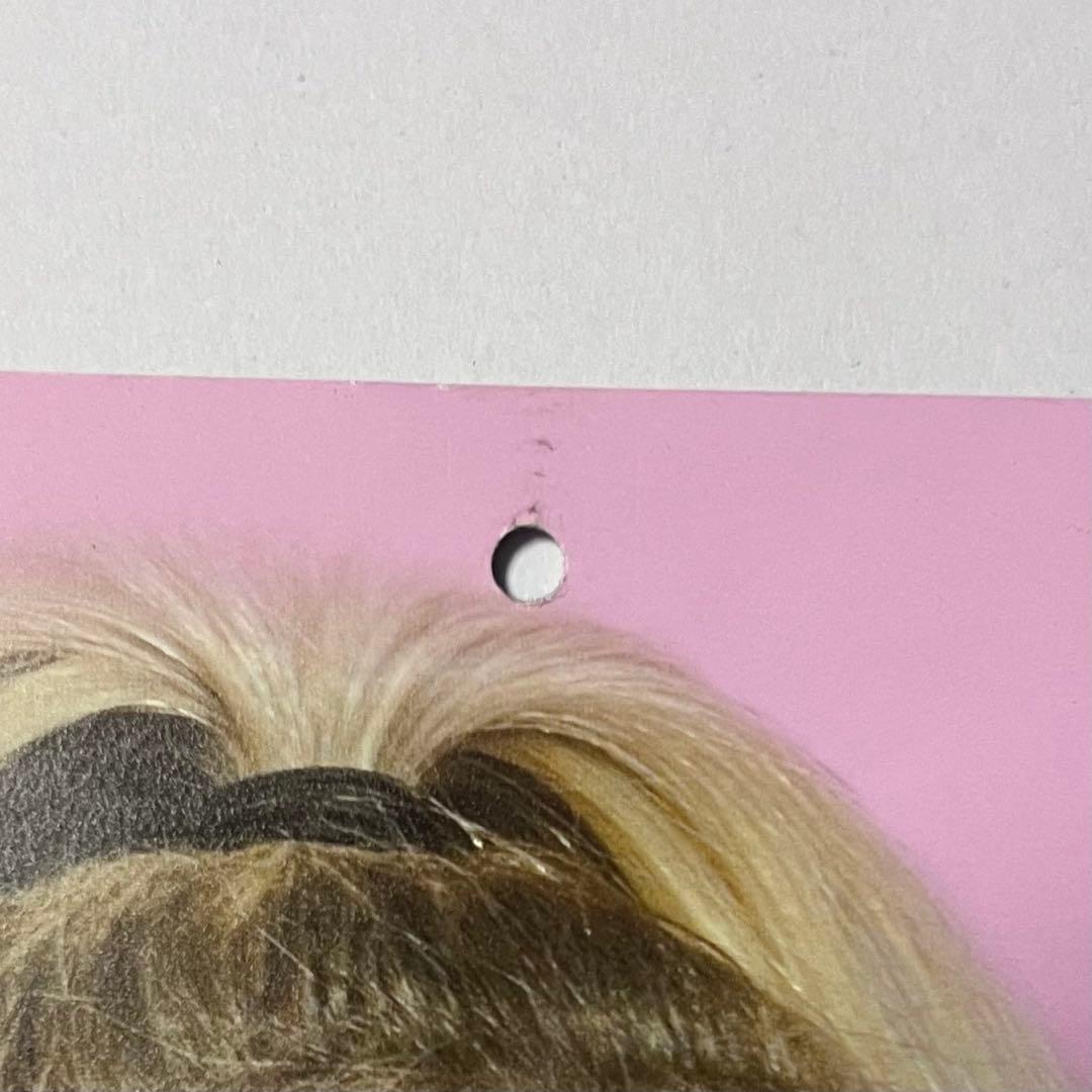 サブリナカーペンターsabrinacarpenter公式グッズ・雑誌INROCK