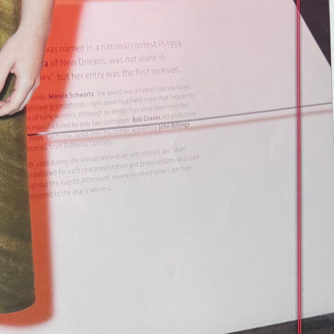 サブリナカーペンターsabrinacarpenter公式グッズ・雑誌INROCK