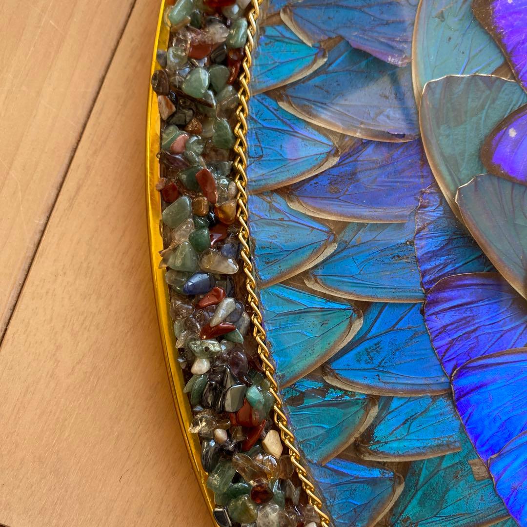 【ブラジル産】アンティーク モルフォ蝶 剥製 オブジェ 壁掛け