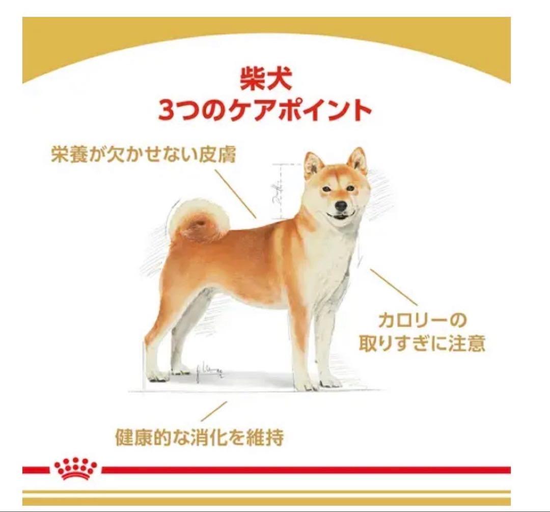 ロイヤルカナン 柴犬成犬用　8キロ