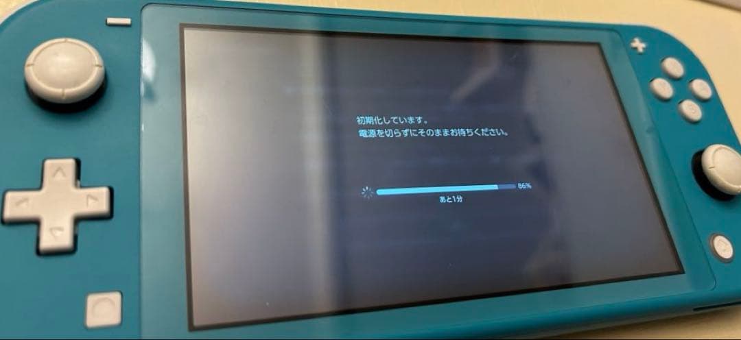 Nintendo Switch Lite本体 (ターコイズ) 充電器・箱あり