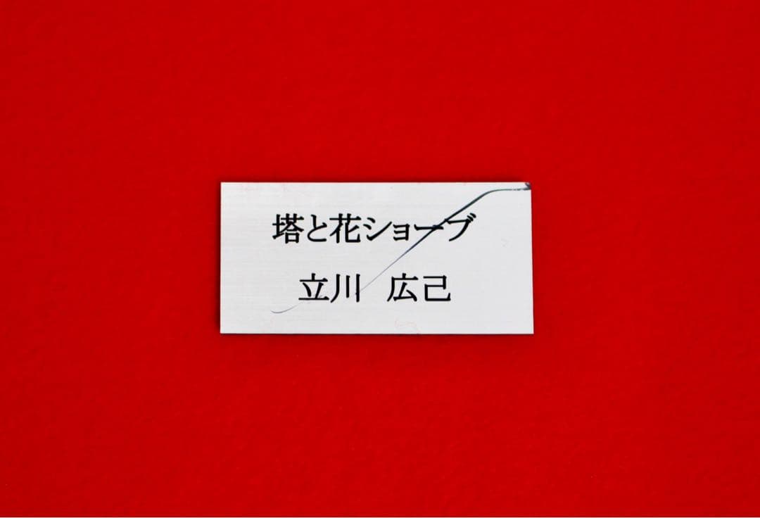 花乙女コレクション【立川広己　塔と花ショーブ】購入金額より60％お値引き！！