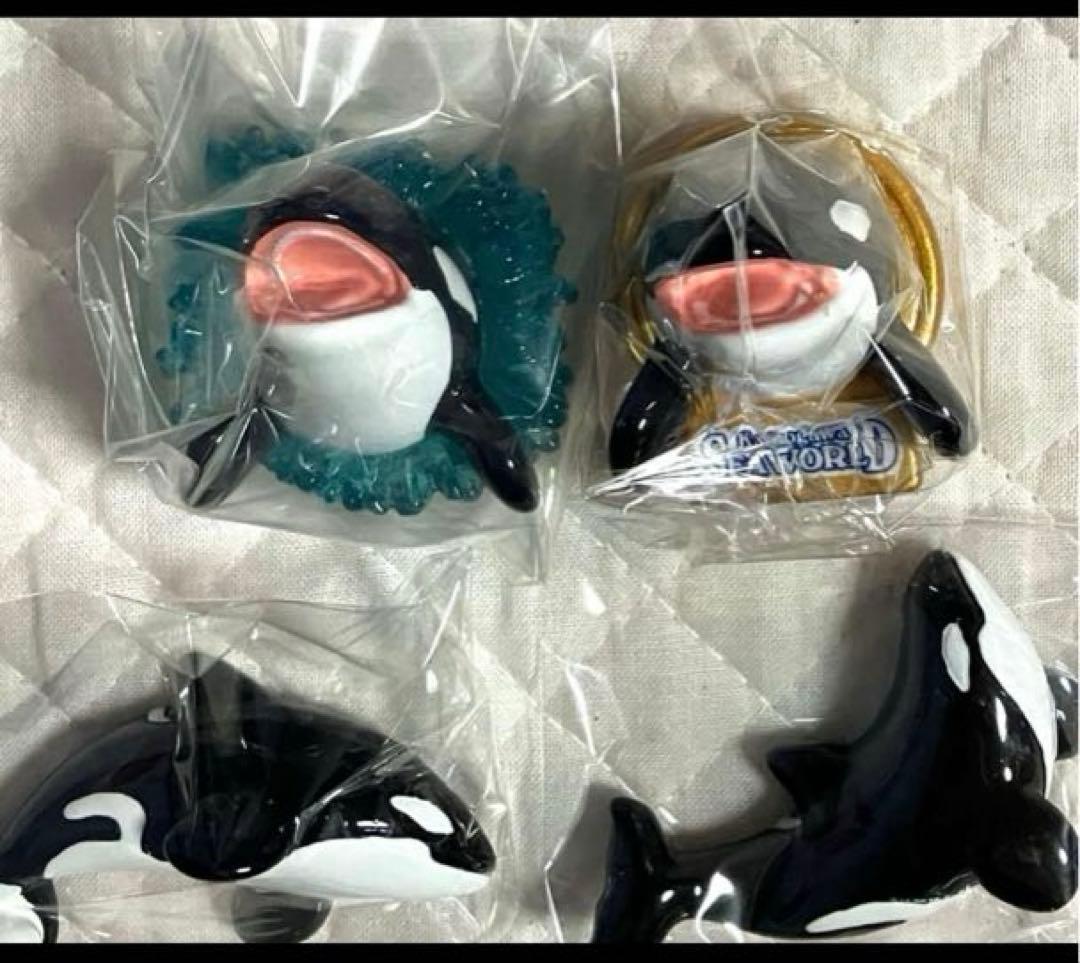 レア　鴨川シーワールド　ランダム　マグネット　シャチ
