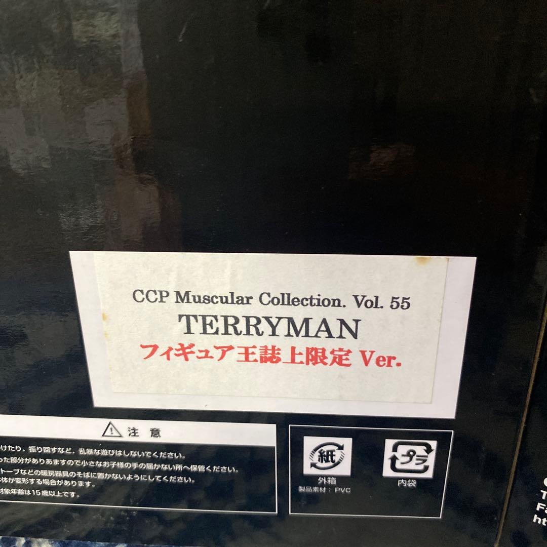 キン肉マン　フィギュア　テリーマン　ブロッケンJr. ccp