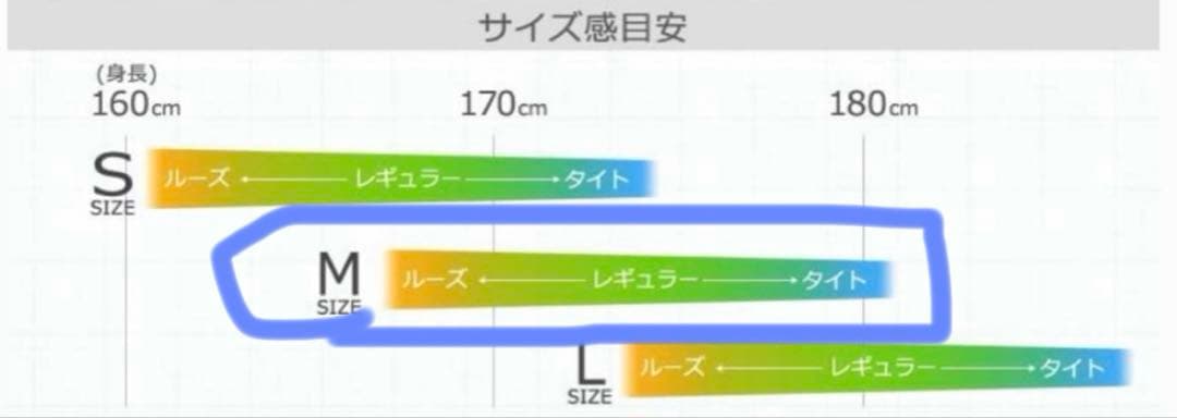 【極美品】 VOLCOM ボルコム　L GORE-TEX　ゴアテックス BRD