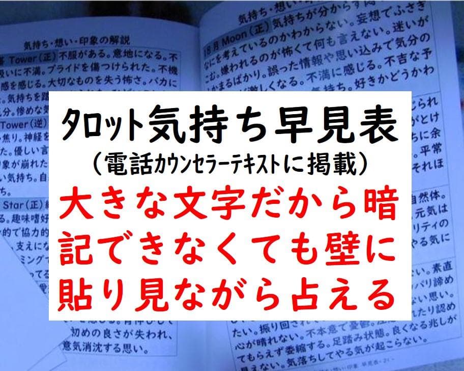 ルーンの石解説＆占いカウンセラー解説２冊セット＋個人指導
