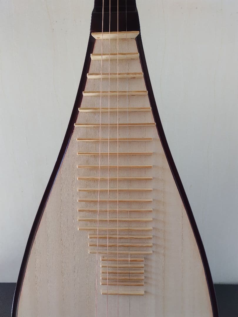 中国琵琶、ケース、弦、DVD