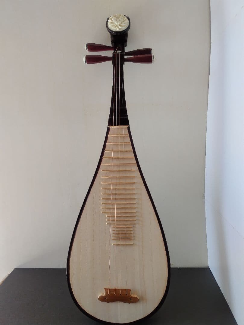 中国琵琶、ケース、弦、DVD