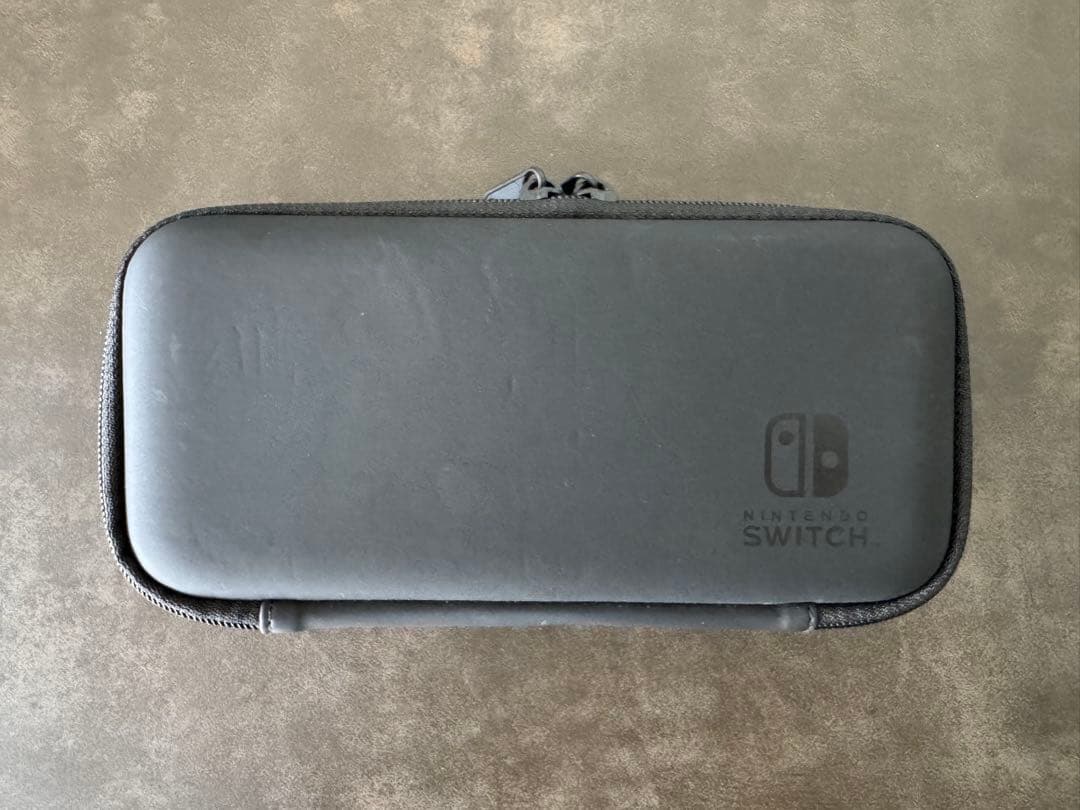 Nintendo Switch Lite グレー ケース付き