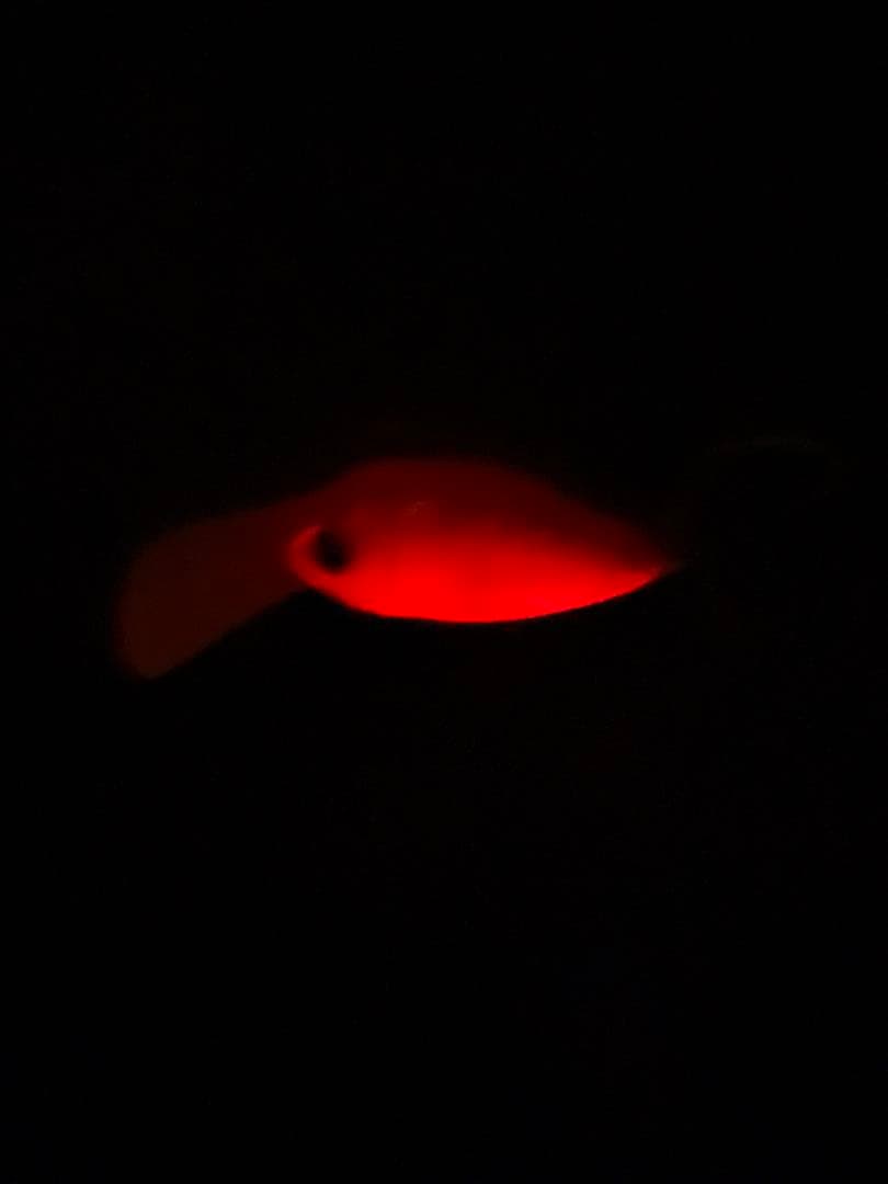 【レア】モカDRSS 天照　ゴールドラッシュ