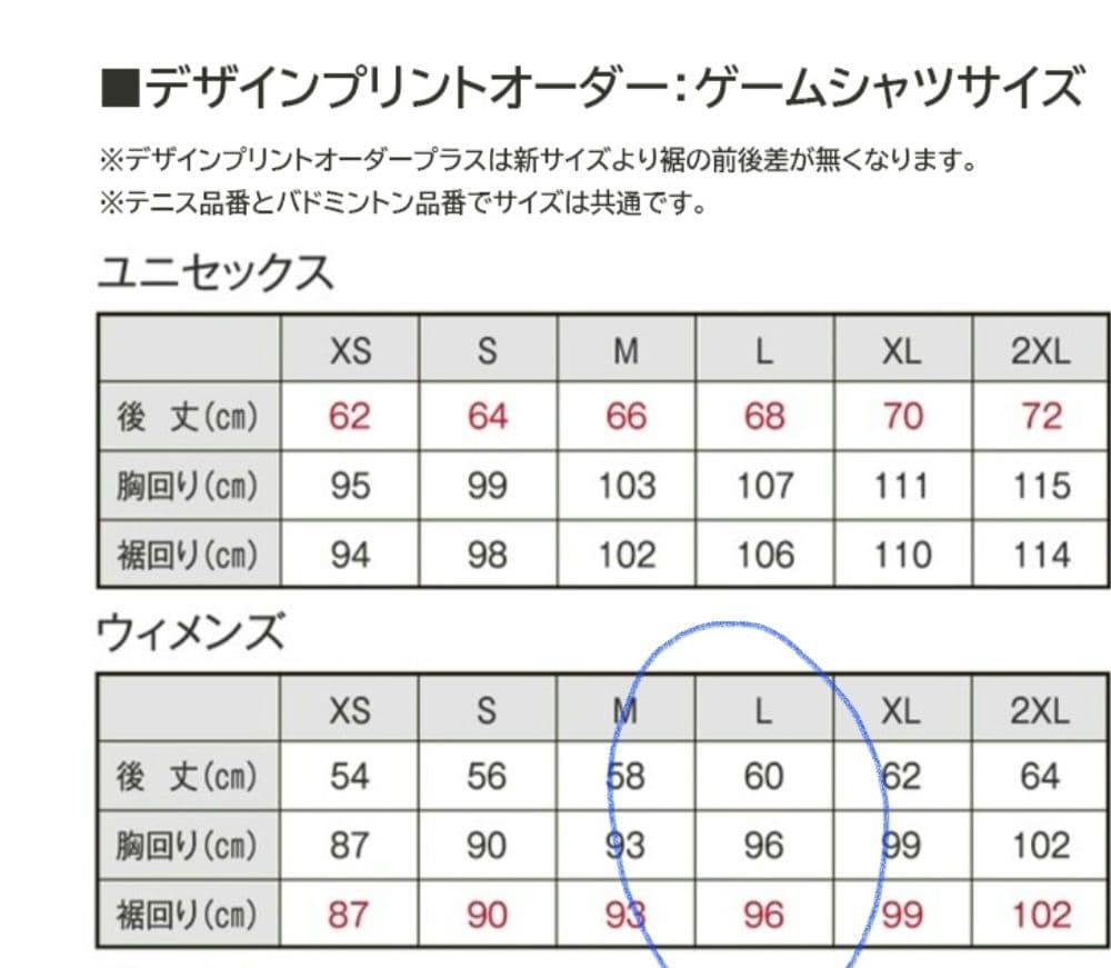 Mizuno 　グラフィックプリント Tシャツ Lサイズ　 新品