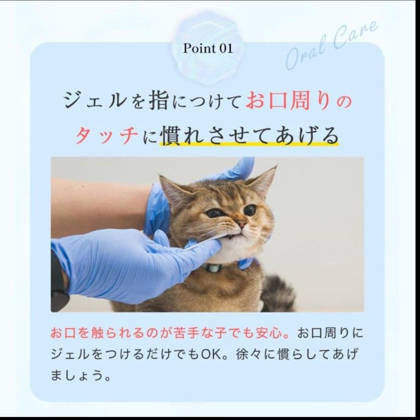 ミシュワン トータルケアニャン 猫用トータルケアジェル 3本セット 新品未開封