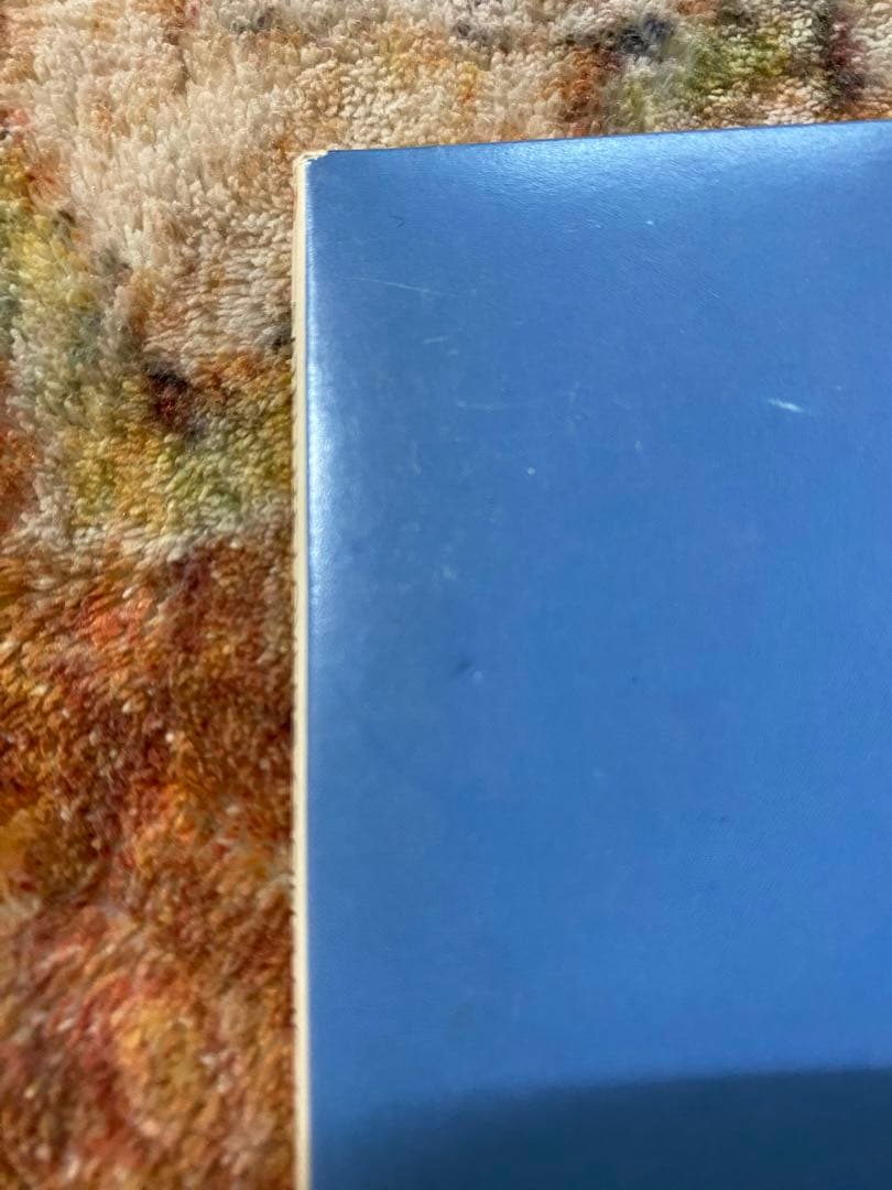 邦楽 SATELLITE LOVERS SONS OF 1973 & 1997